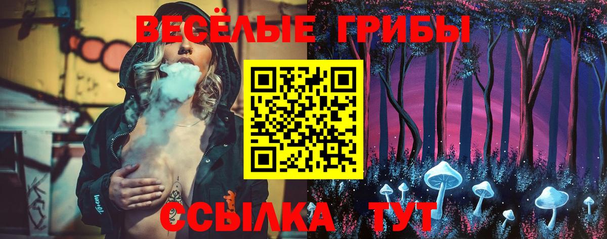 Галлюциногенные грибы Psilocybe Трёхгорный